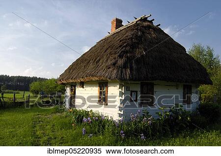 Stock Photography - Thatched woodhouse, Janow Podlaski, Podlachien, Poland, Europe. Fotosearch