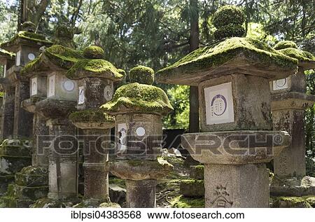 Stock Photo - Toro, stone lanterns, along the path to Kasuga Taisha Shrine in Nara, Japan, Asia. Fotosearch