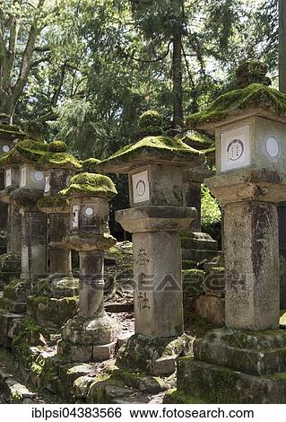 Stock Photograph - Toro, stone lanterns, along the path to Kasuga Taisha Shrine in Nara, Japan, Asia. Fotosearch