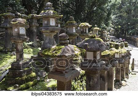 Toro, stone lanterns, along the path to Kasuga Taisha Shrine in Nara, Japan, Asia View Large Photo Image Stock Photography - Toro, stone lanterns, along the path to Kasuga Taisha Shrine in Nara, Japan, Asia. Fotosearch