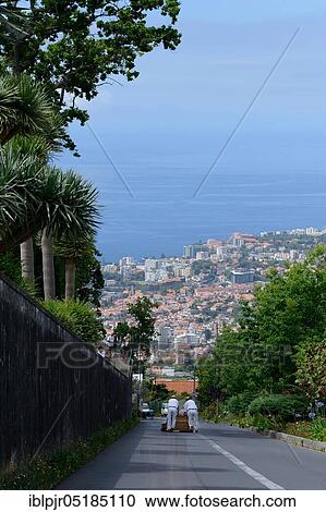 Trip with the basket sledge, Monte, Funchal, Madeira, Portugal, Europe View Large Photo Image Stock Image - Trip with the basket sledge, Monte, Funchal, Madeira, Portugal, Europe. Fotosearch