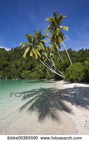 Tropical island in the Strait of (Iris), Triton Bay, West Papua, Indonesia, Asia View Large Photo Image Stock Image - Tropical island in the Strait of (Iris), Triton Bay, West Papua, Indonesia, Asia. Fotosearch