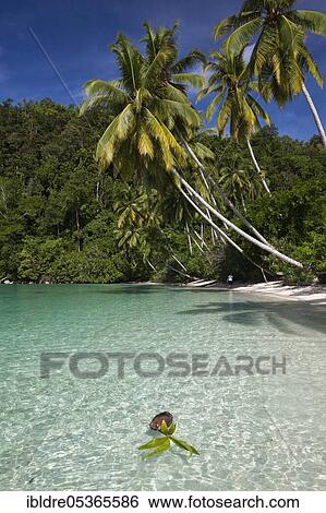 Tropical island in the Strait of (Iris), Triton Bay, West Papua, Indonesia, Asia View Large Photo Image Stock Photograph - Tropical island in the Strait of (Iris), Triton Bay, West Papua, Indonesia, Asia. Fotosearch