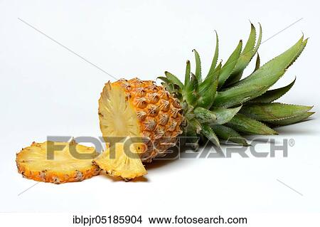 Picture - Truncated Pineapple ( Ananas comosus) Baby.... Fotosearch