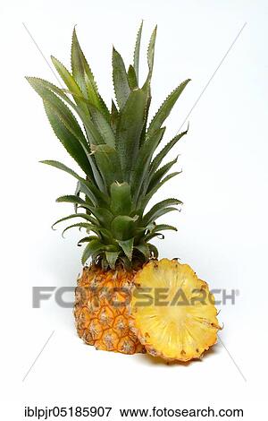 Truncated Pineapple ( Ananas comosus) Baby... View Large Photo Image Stock Photo - Truncated Pineapple ( Ananas comosus) Baby.... Fotosearch