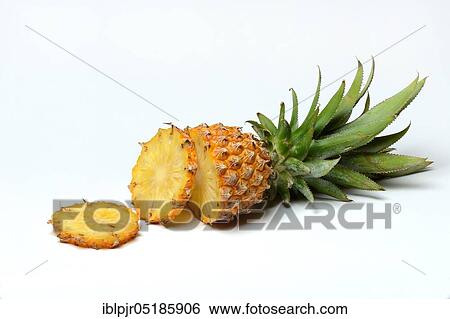 Truncated Pineapple ( Ananas comosus) Baby... View Large Photo Image Stock Photograph - Truncated Pineapple ( Ananas comosus) Baby.... Fotosearch