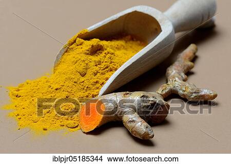Turmeric-powder in shovel and root, root View Large Photo Image Picture - Turmeric-powder in shovel and root, root. Fotosearch