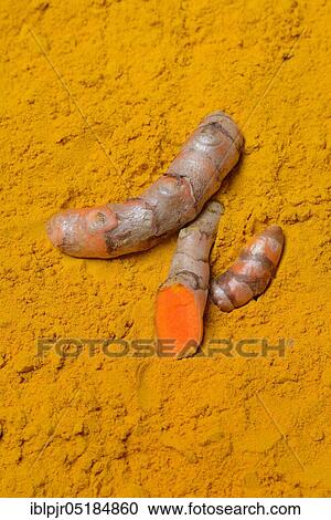 Turmericpowder and ( Curcuma longa) salsify View Large Photo Image Stock Image - Turmericpowder and ( Curcuma longa) salsify. Fotosearch