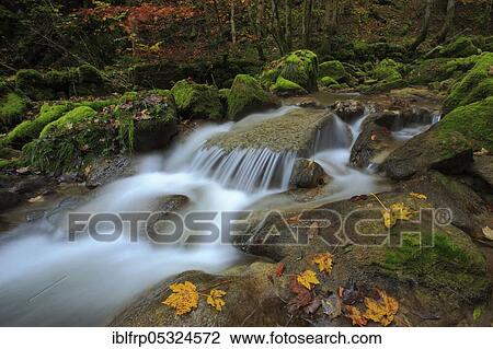 Stock Image - Twannbach Gorge, Bern, Switzerland, Europe. Fotosearch