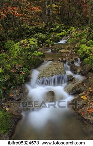 Twannbach Gorge, Bern, Switzerland, Europe View Large Photo Image Stock Image - Twannbach Gorge, Bern, Switzerland, Europe. Fotosearch