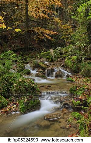 Stock Image - Twannbach Gorge, Bern, Switzerland, Europe. Fotosearch