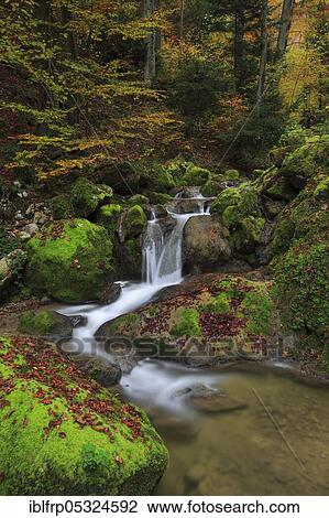 Stock Image - Twannbach Gorge, Bern, Switzerland, Europe. Fotosearch