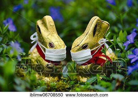 Two chocolate Easter bunnies with mouth guards, symbol third wave at Easter during Corona crisis, Germany, Europe View Large Photo Image Stock Image - Two chocolate Easter bunnies with mouth guards, symbol third wave at Easter during Corona crisis, Germany, Europe. Fotosearch