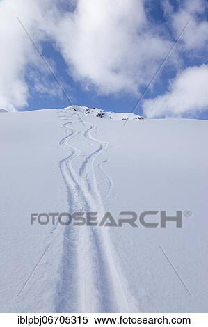 Two lonely ski tracks in front of a blue sky, Kühtai, Tyrol, Austria, Europe View Large Photo Image Stock Photography - Two lonely ski tracks in front of a blue sky, Kühtai, Tyrol, Austria, Europe. Fotosearch