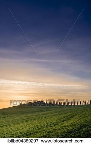 Typical green Tuscan landscape in Bagno Vignoni, Val d’Orcia with a farm on a hill, fields and cypresses at sunrise, San Quirico d’Orcia, Tuscany, Italy, Europe View Large Photo Image Stock Photo - Typical green Tuscan landscape in Bagno Vignoni, Val d’Orcia with a farm on a hill, fields and cypresses at sunrise, San Quirico d’Orcia, Tuscany, Italy, Europe. Fotosearch