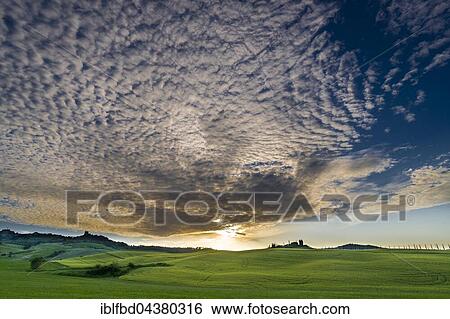 Typical green Tuscan landscape in Bagno Vignoni, Val d’Orcia with a farm on a hill, grain fields, cypresses at sunset, San Quirico d’Orcia, Tuscany, Italy, Europe View Large Photo Image Stock Photograph - Typical green Tuscan landscape in Bagno Vignoni, Val d’Orcia with a farm on a hill, grain fields, cypresses at sunset, San Quirico d’Orcia, Tuscany, Italy, Europe. Fotosearch