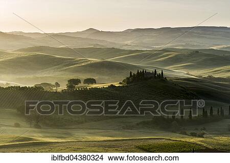 Typical green Tuscan landscape in Val d’Orcia, farm on hill, fields, cypress (Cupressus sp. ) trees and morning fog at sunrise, San Quirico d’Orcia, Tuscany, Italy, Europe View Large Photo Image Picture - Typical green Tuscan landscape in Val d’Orcia, farm on hill, fields, cypress (Cupressus sp. ) trees and morning fog at sunrise, San Quirico d’Orcia, Tuscany, Italy, Europe. Fotosearch
