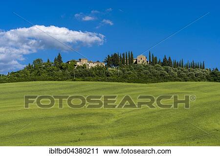 Typical green Tuscan landscape in Val d’Orcia, farm on hill, fields, trees, cypresses and blue cloudy sky, La Foce, Tuscany, Italy, Europe View Large Photo Image Stock Image - Typical green Tuscan landscape in Val d’Orcia, farm on hill, fields, trees, cypresses and blue cloudy sky, La Foce, Tuscany, Italy, Europe. Fotosearch