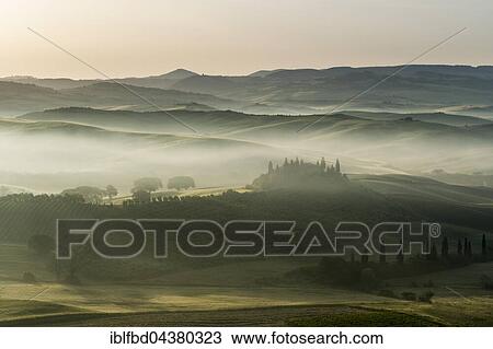 Typical green Tuscan landscape in Val d’Orcia, farm on hill, fields, cypress (Cupressus sp. ) trees and morning fog at sunrise, San Quirico d’Orcia, Tuscany, Italy, Europe View Large Photo Image Stock Image - Typical green Tuscan landscape in Val d’Orcia, farm on hill, fields, cypress (Cupressus sp. ) trees and morning fog at sunrise, San Quirico d’Orcia, Tuscany, Italy, Europe. Fotosearch