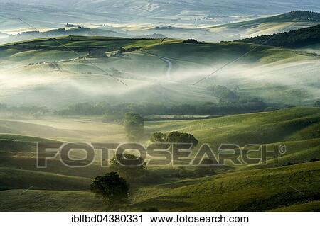 Typical green Tuscan landscape in Val d’Orcia, fields, trees and morning fog at sunrise, San Quirico d’Orcia, Tuscany, Italy, Europe View Large Photo Image Stock Image - Typical green Tuscan landscape in Val d’Orcia, fields, trees and morning fog at sunrise, San Quirico d’Orcia, Tuscany, Italy, Europe. Fotosearch