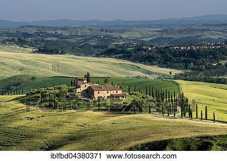 Typical green Tuscan landscape in Val d’Orcia with farm on hill, fields, cypresses and blue sky, Trequanda, Tuscany, Italy, Europe View Large Photo Image Stock Image - Typical green Tuscan landscape in Val d’Orcia with farm on hill, fields, cypresses and blue sky, Trequanda, Tuscany, Italy, Europe. Fotosearch