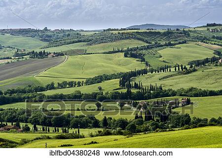 Typical green Tuscan landscape in Val d’Orcia with hills, fields, trees, cypresses and cloudy sky, Pienca, Tuscany, Italy, Europe View Large Photo Image Stock Photo - Typical green Tuscan landscape in Val d’Orcia with hills, fields, trees, cypresses and cloudy sky, Pienca, Tuscany, Italy, Europe. Fotosearch