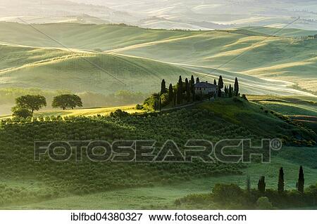 Typical green Tuscan landscape in Val d’Orcia, farm on hill, fields, cypress (Cupressus sp. ) trees and morning fog at sunrise, San Quirico d’Orcia, Tuscany, Italy, Europe View Large Photo Image Stock Photo - Typical green Tuscan landscape in Val d’Orcia, farm on hill, fields, cypress (Cupressus sp. ) trees and morning fog at sunrise, San Quirico d’Orcia, Tuscany, Italy, Europe. Fotosearch