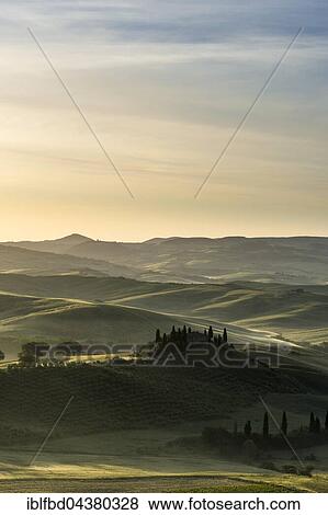 Typical green Tuscan landscape in Val d’Orcia, farm on hill, fields, cypress (Cupressus sp. ) trees and morning fog at sunrise, San Quirico d’Orcia, Tuscany, Italy, Europe View Large Photo Image Stock Photo - Typical green Tuscan landscape in Val d’Orcia, farm on hill, fields, cypress (Cupressus sp. ) trees and morning fog at sunrise, San Quirico d’Orcia, Tuscany, Italy, Europe. Fotosearch