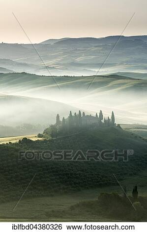 Typical green Tuscan landscape in Val d’Orcia, farm on hill, fields, cypress (Cupressus sp. ) trees and morning fog at sunrise, San Quirico d’Orcia, Tuscany, Italy, Europe View Large Photo Image Stock Photograph - Typical green Tuscan landscape in Val d’Orcia, farm on hill, fields, cypress (Cupressus sp. ) trees and morning fog at sunrise, San Quirico d’Orcia, Tuscany, Italy, Europe. Fotosearch