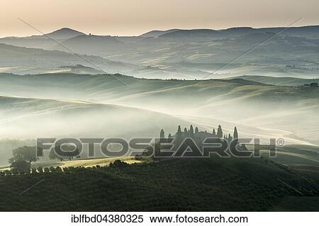 Typical green Tuscan landscape in Val d’Orcia, farm on hill, fields, cypress (Cupressus sp. ) trees and morning fog at sunrise, San Quirico d’Orcia, Tuscany, Italy, Europe View Large Photo Image Stock Photography - Typical green Tuscan landscape in Val d’Orcia, farm on hill, fields, cypress (Cupressus sp. ) trees and morning fog at sunrise, San Quirico d’Orcia, Tuscany, Italy, Europe. Fotosearch