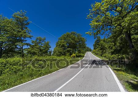 Typical green Tuscan landscape with hills, trees, road and blue sky, San Casciano dei Bagni, Tuscany, Italy, Europe View Large Photo Image Picture - Typical green Tuscan landscape with hills, trees, road and blue sky, San Casciano dei Bagni, Tuscany, Italy, Europe. Fotosearch