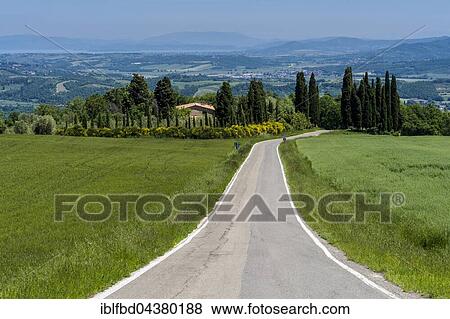 Typical green Tuscany landscape with hills, trees, a road leading to a farm and blue sky, San Casciano dei Bagni, Tuscany, Italy, Europe View Large Photo Image Stock Photo - Typical green Tuscany landscape with hills, trees, a road leading to a farm and blue sky, San Casciano dei Bagni, Tuscany, Italy, Europe. Fotosearch