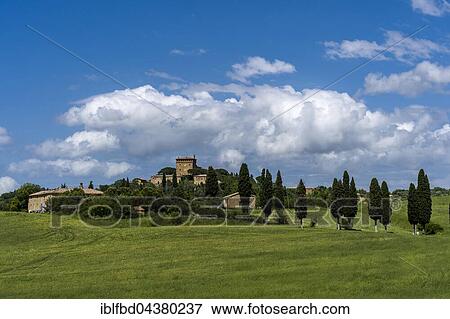 Typical Tuscany landscape in Val d’Orcia with hills and cypresses, Pienca, Tuscany, Italy, Europe View Large Photo Image Stock Photo - Typical Tuscany landscape in Val d’Orcia with hills and cypresses, Pienca, Tuscany, Italy, Europe. Fotosearch