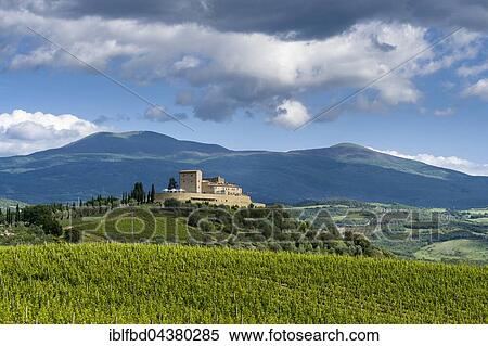 Stock Photography - Typical Tuscany landscape in Val d’Orcia with wineyards, Castello di Velona on a hill, Castelnuovo dell'Abate, Tuscany, Italy, Europe. Fotosearch