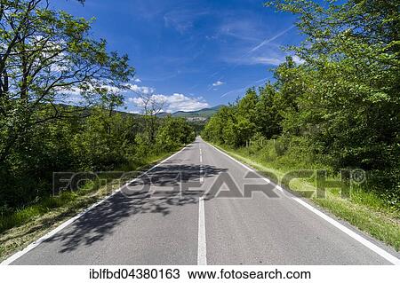 Stock Image - Typical Tuscany landscape with hills and trees, street leading to a town, Santa Fiora, Tuscany, Italy, Europe. Fotosearch