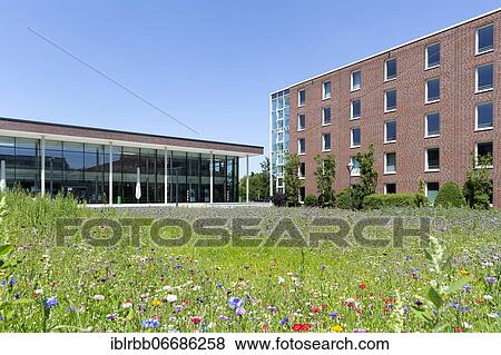 University of Finance of the State of North Rhine-Westphalia, Nordkirchen, Münsterland, North Rhine-Westphalia, Germany, Europe View Large Photo Image Stock Photo - University of Finance of the State of North Rhine-Westphalia, Nordkirchen, Münsterland, North Rhine-Westphalia, Germany, Europe. Fotosearch