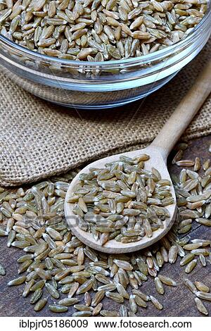 Stock Photo - Unripe spelt grain, unripe spelt grain in cooking spoon, grain, Dinkel wheatgrains. Fotosearch