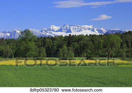 Stock Image - View from Gossau Zurich to Glärnisch, Zurich Oberland, Switzerland, Europe. Fotosearch