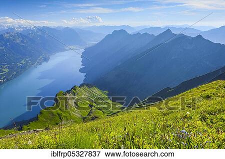 View from the Brienzer Rothorn, Lake Brienz, Switzerland, Europe View Large Photo Image Stock Photo - View from the Brienzer Rothorn, Lake Brienz, Switzerland, Europe. Fotosearch
