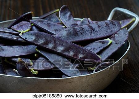 Violet pods, in shell, sugar, sugar, sugar, sugar podsPea, sugar pods View Large Photo Image Stock Image - Violet pods, in shell, sugar, sugar, sugar, sugar podsPea, sugar pods. Fotosearch