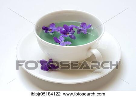 Stock Image - Violet tea ( Viola odorata) violet flower tea, cup. Fotosearch