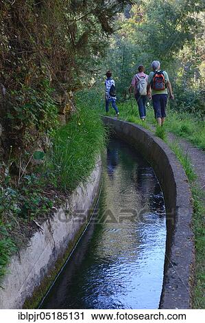 Stock Image - Walker along a levada, water channel, Lavada do Norte, Madeira, Portugal, Europe. Fotosearch