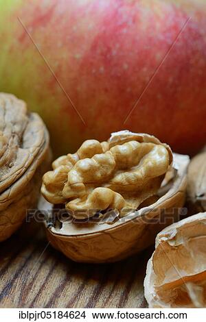 Walnuts (Juglans regia) View Large Photo Image Picture - Walnuts (Juglans regia). Fotosearch