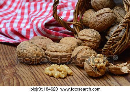 Walnuts (Juglans regia) View Large Photo Image Stock Image - Walnuts (Juglans regia). Fotosearch