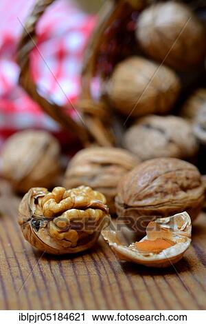 Walnuts (Juglans regia) View Large Photo Image Stock Image - Walnuts (Juglans regia). Fotosearch