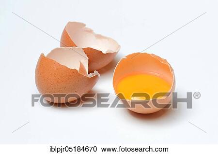 Whipped hen's egg, egg yolk, yolk View Large Photo Image Stock Image - Whipped hen's egg, egg yolk, yolk. Fotosearch