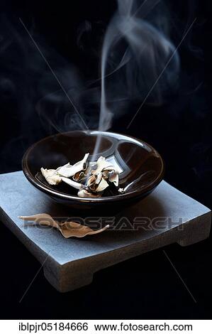 White sage ( Salvia apiana), Indian incense, Incense View Large Photo Image Stock Photograph - White sage ( Salvia apiana), Indian incense, Incense. Fotosearch