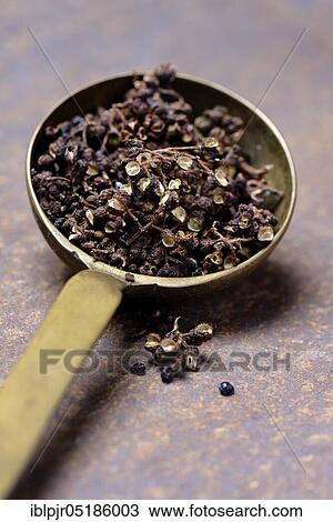 Wild Andaliman pepper in brass ladle, Sumatra, Indonesia, Asia View Large Photo Image Stock Image - Wild Andaliman pepper in brass ladle, Sumatra, Indonesia, Asia. Fotosearch