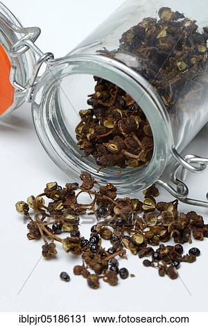 Stock Image - Wild Andaliman pepper in glass, Sumatra, Indonesia, Asia. Fotosearch