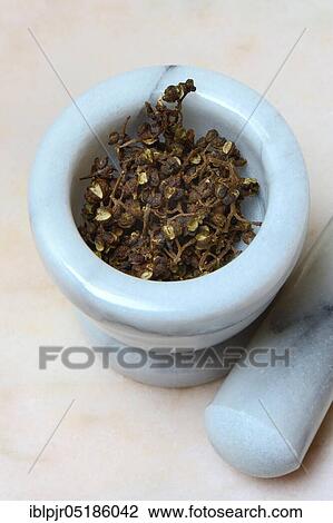 Stock Image - Wild Andaliman pepper in mortar, Sumatra, Indonesia, Asia. Fotosearch